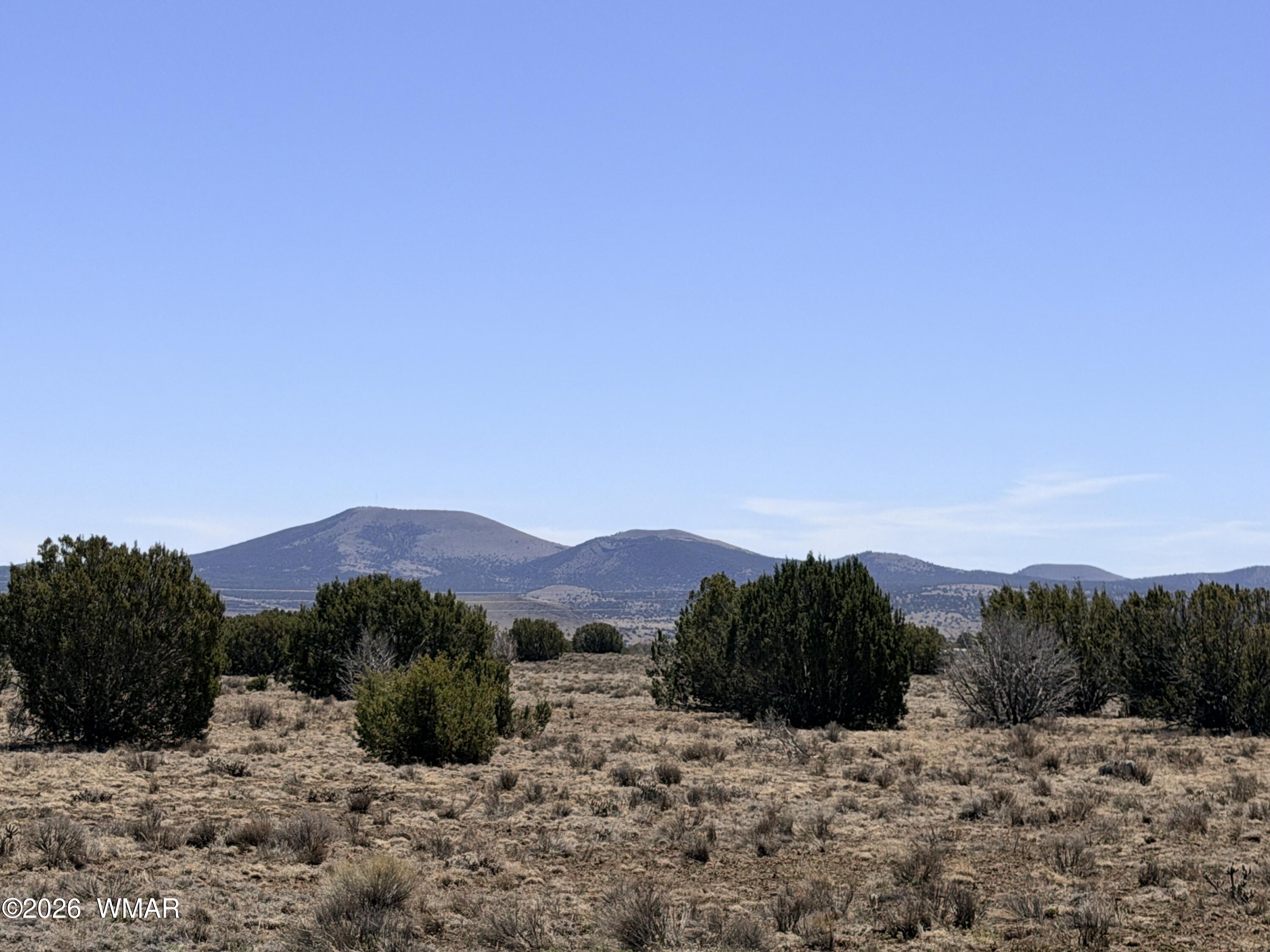 14 N3111, Unit A Vernon, AZ 85940 - Photo 2 of 14 a view of a large field with a mountain in the background
