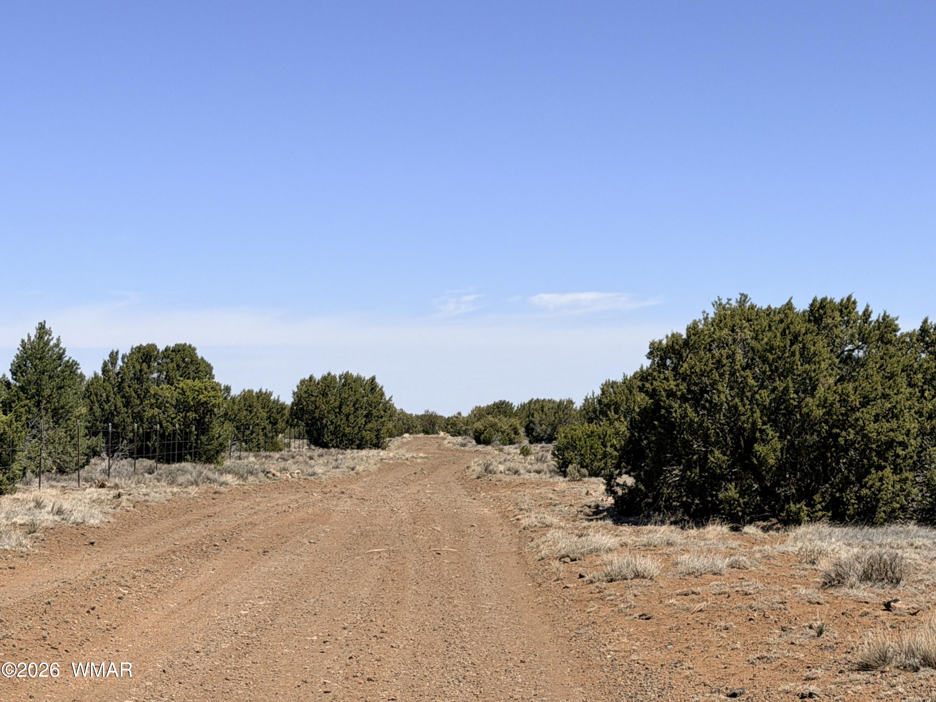 14 N3111, Unit A Vernon, AZ 85940 - Photo 8 of 14 a view of a dry field with a view of bushes