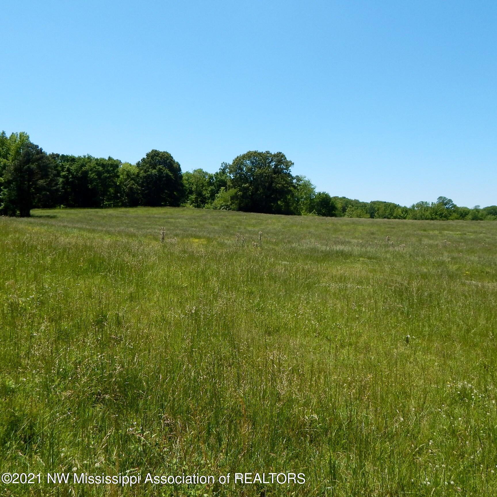 222 Arkabutla Dam Road Coldwater, MS 38618 - Photo 2 of 21 Gallery Image 2
