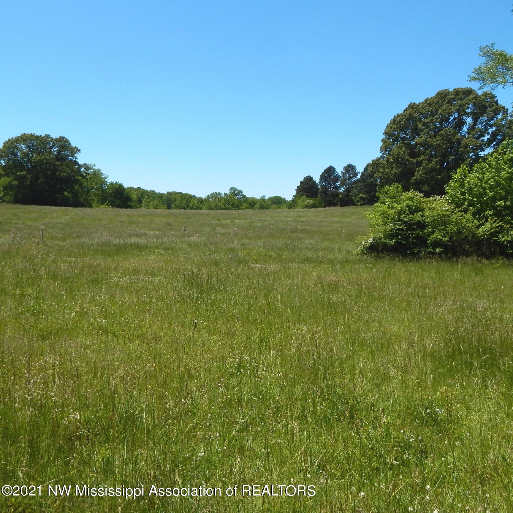 222 Arkabutla Dam Road Coldwater, MS 38618 - Photo 3 of 21 Gallery Image 3