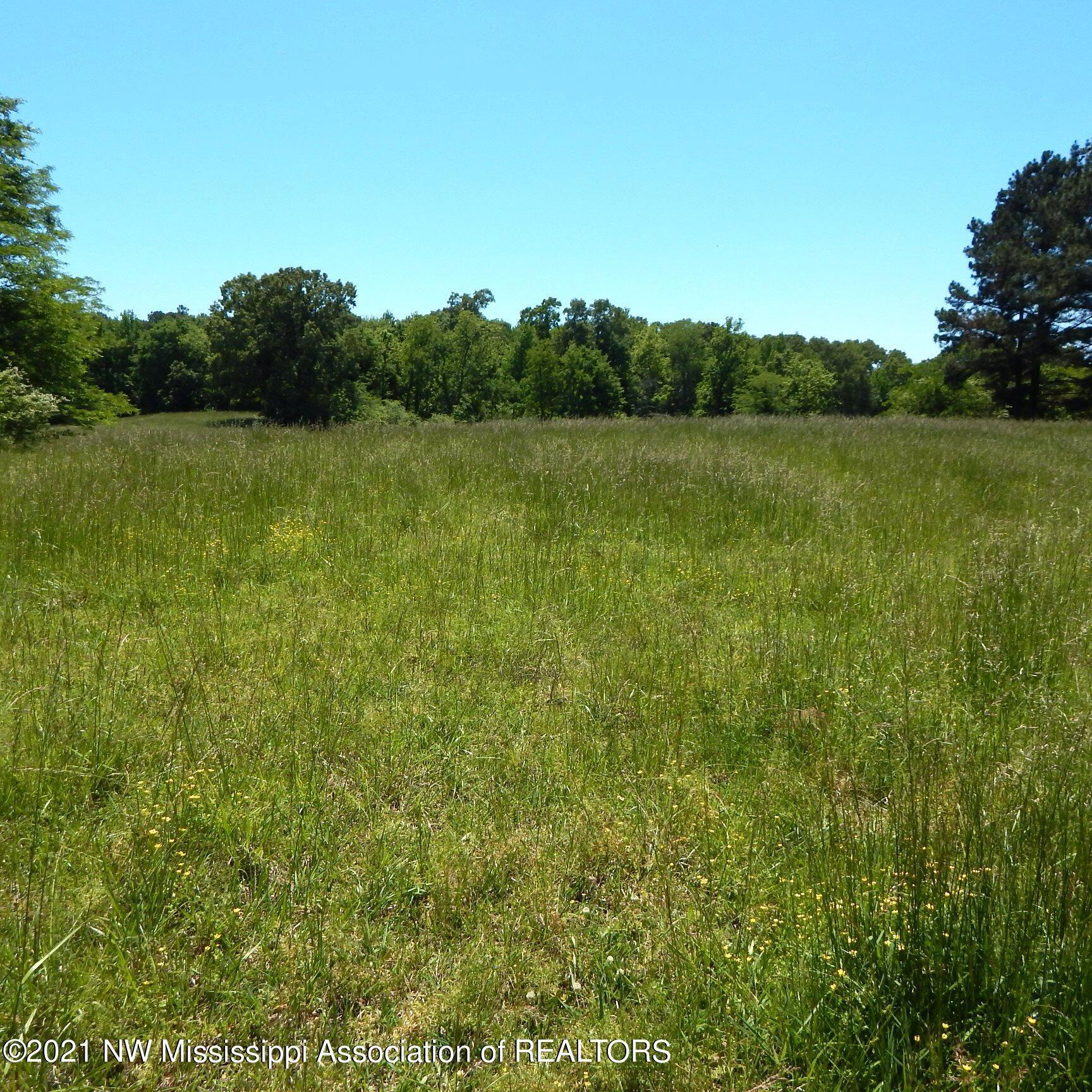 222 Arkabutla Dam Road Coldwater, MS 38618 - Photo 6 of 21 Gallery Image 6