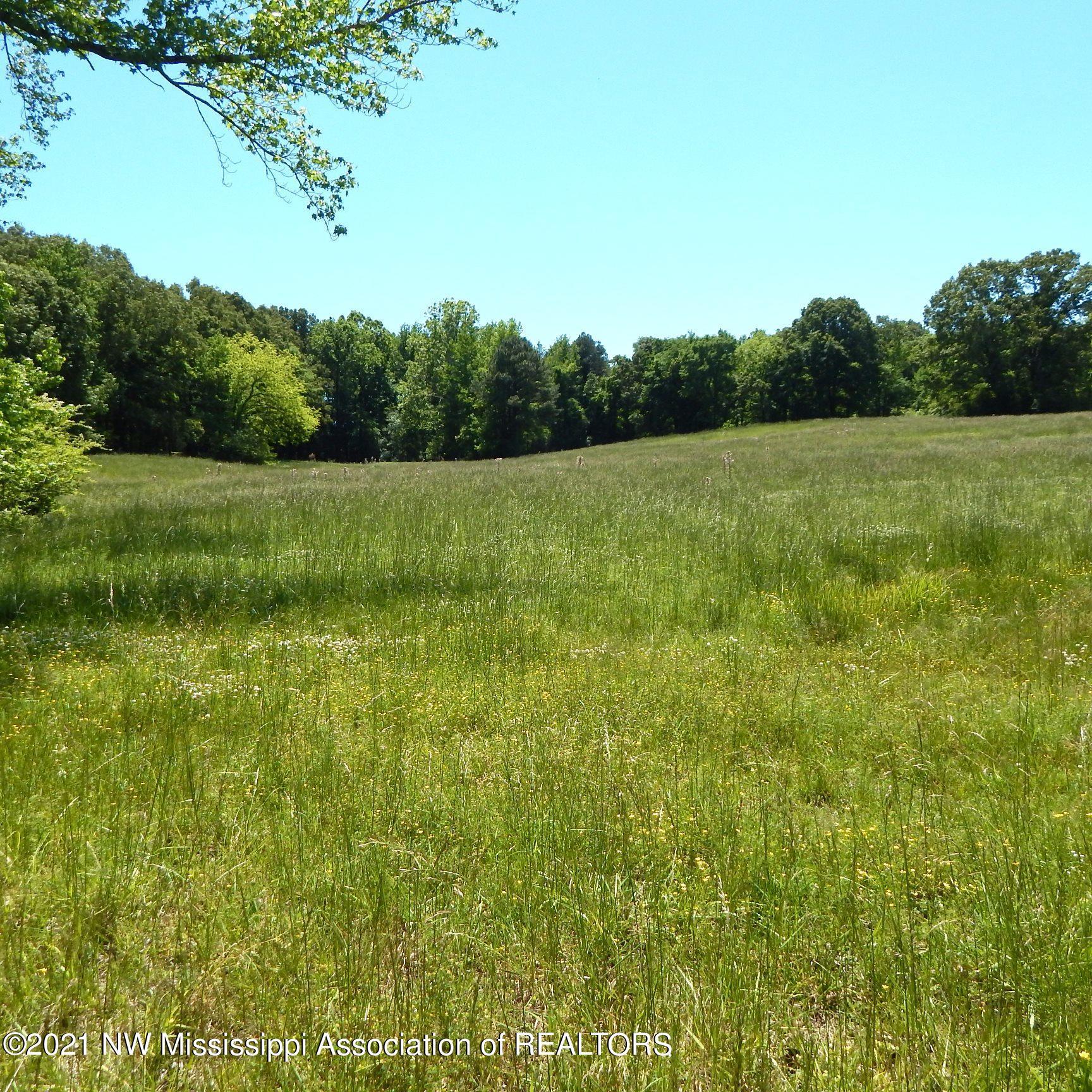 222 Arkabutla Dam Road Coldwater, MS 38618 - Photo 7 of 21 Gallery Image 7