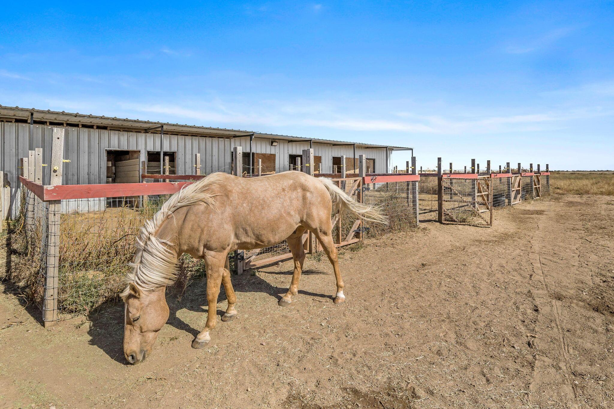 17201 Old Ranch Road Canyon, TX 79015 - Photo 25 of 38 17201 Old Ranch Rd 09