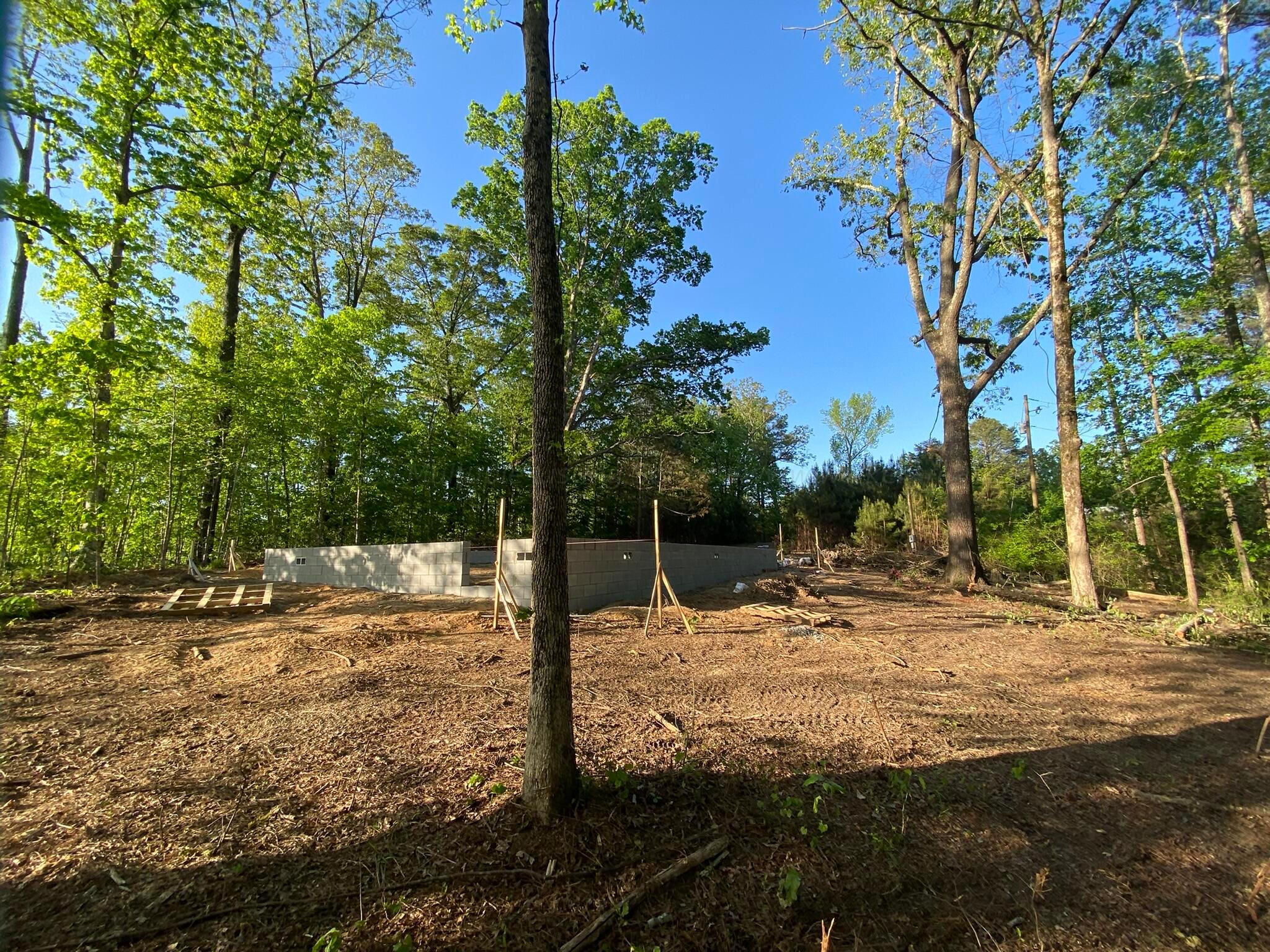 351 Edgil Road Jasper, AL 35503 - Photo 4 of 14 Gallery Image 4