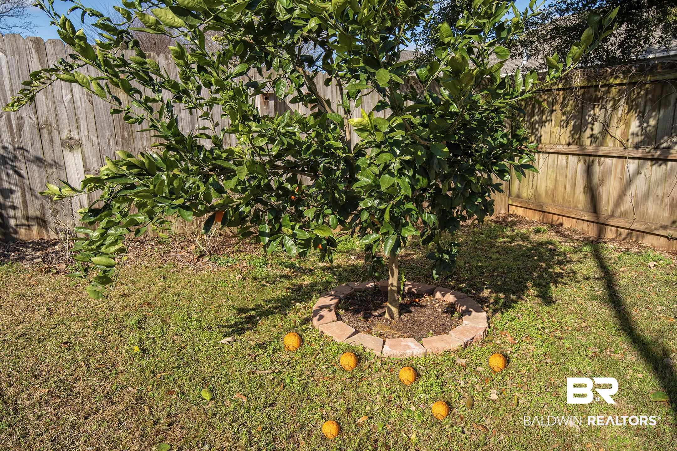 9421 Collier Loop Daphne, AL 36526 - Photo 31 of 31 View of fenced backyard
