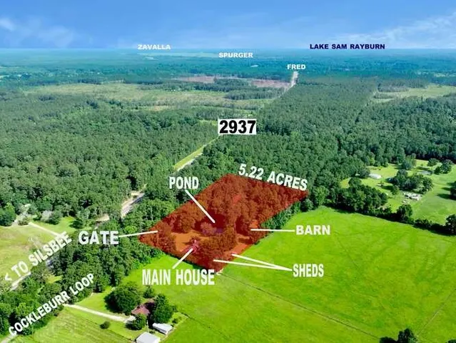 a view of a back yard