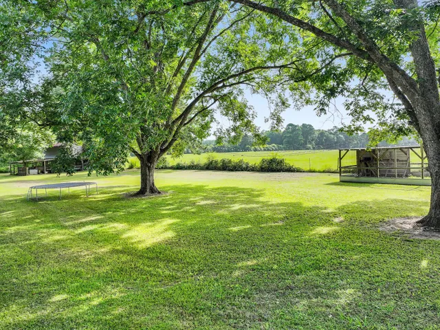 a view of outdoor space with garden and trees