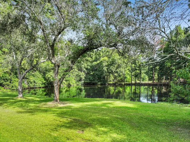 a view of a park with a tree