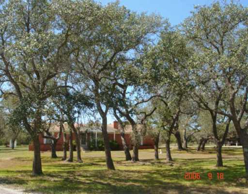 251 Farrell Road Dripping Springs, TX 78620 - Photo 1 of 1 Gallery Image 1