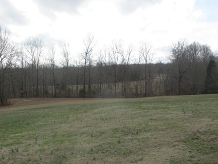 65 Napier Road Scottsville, KY 42164 - Photo 9 of 31 Gallery Image 9