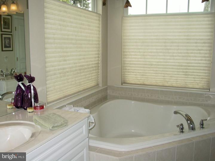 99 Shipps Way Delanco, NJ 08075 - Photo 13 of 18 Master Bathroom