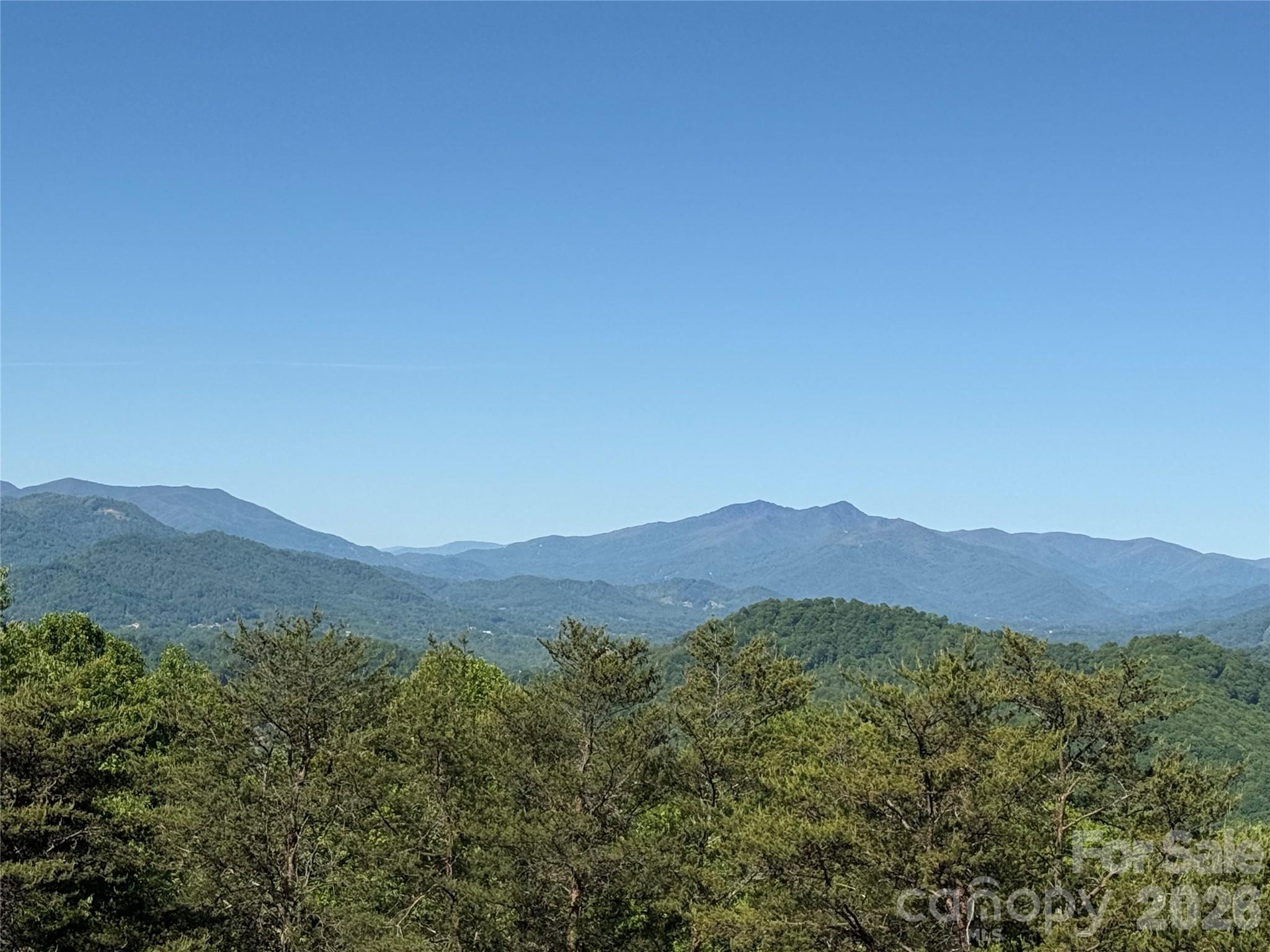 9999 Hunters Ridge Road Canton, NC 28716 - Photo 5 of 19