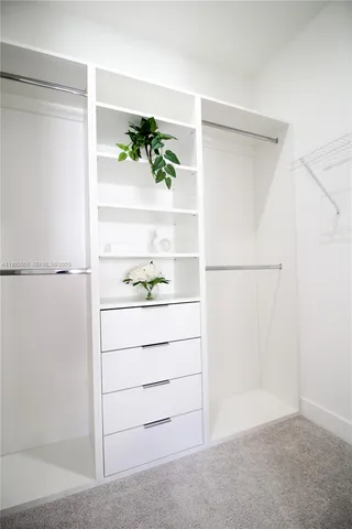 a bathroom with a sink and a shower
