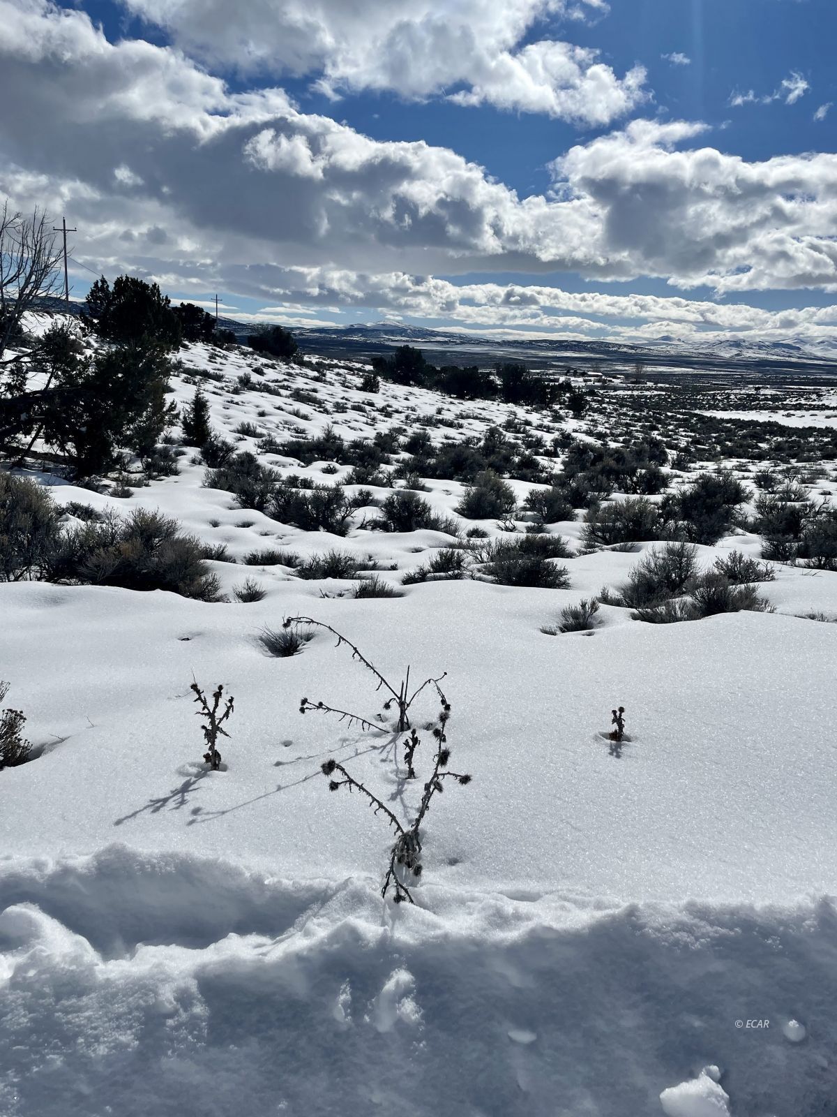 Grant Ave Spring Creek Spring Creek, NV 89815 - Photo 3 of 6