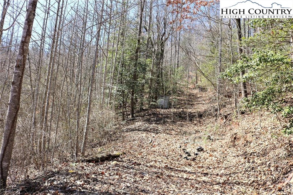 2000 Gladys Fork Road Ferguson, NC 28624 - Photo 12 of 14 Gallery Image 12