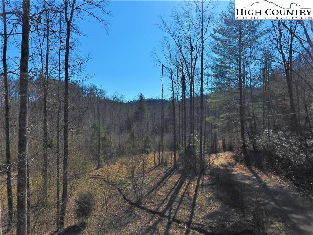 2000 Gladys Fork Road Ferguson, NC 28624 - Photo 3 of 14 Gallery Image 3