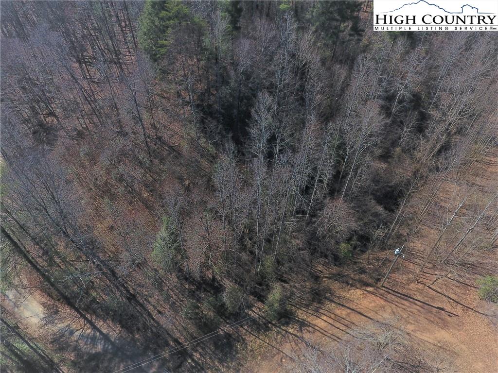 2000 Gladys Fork Road Ferguson, NC 28624 - Photo 4 of 14 Gallery Image 4