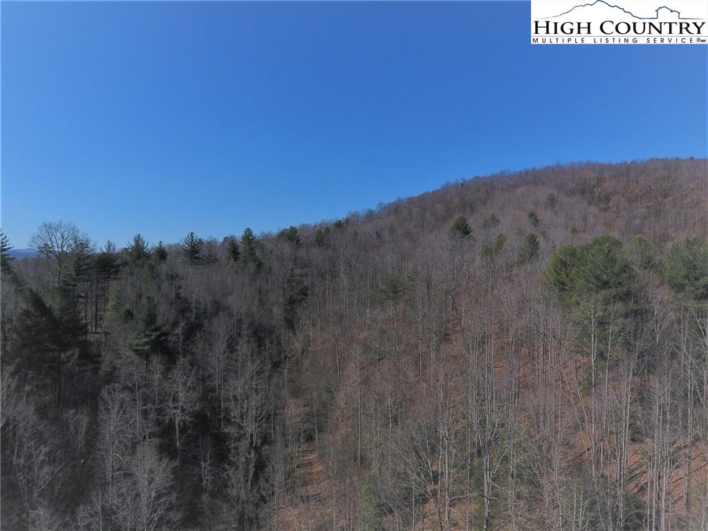 2000 Gladys Fork Road Ferguson, NC 28624 - Photo 6 of 14 Gallery Image 6