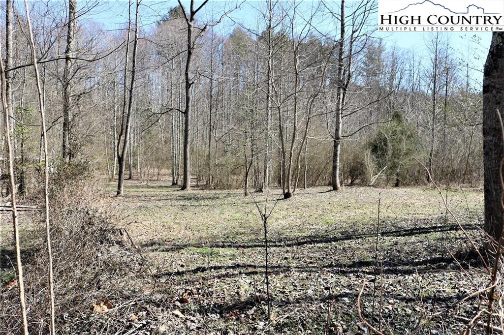 2000 Gladys Fork Road Ferguson, NC 28624 - Photo 8 of 14 Gallery Image 8