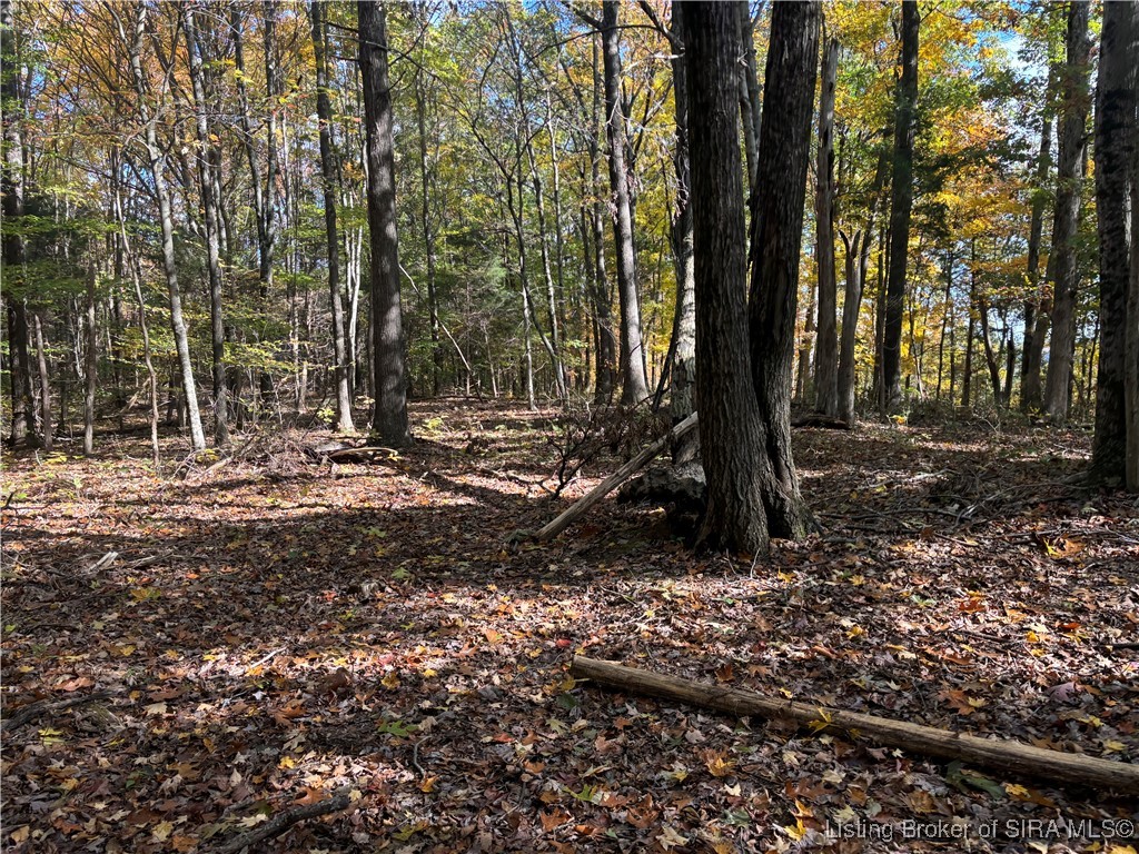 North Depot Hill Road Marengo, IN 47140 - Photo 2 of 10