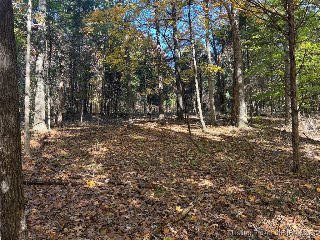 North Depot Hill Road Marengo, IN 47140 - Photo 3 of 10