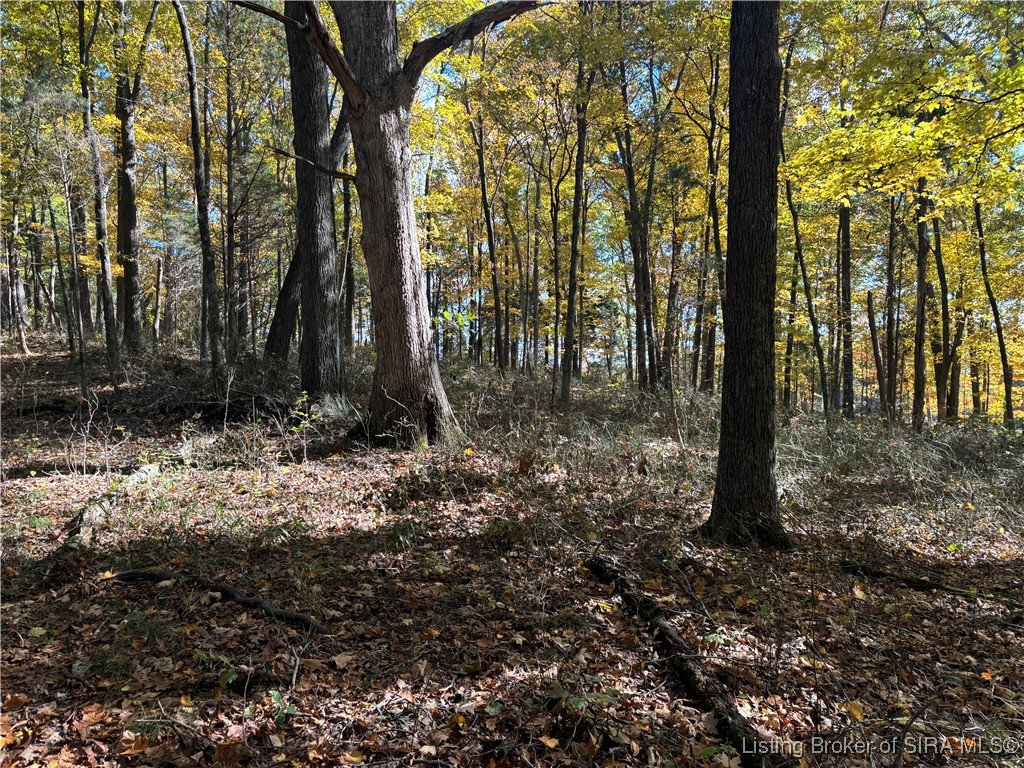 North Depot Hill Road Marengo, IN 47140 - Photo 5 of 10