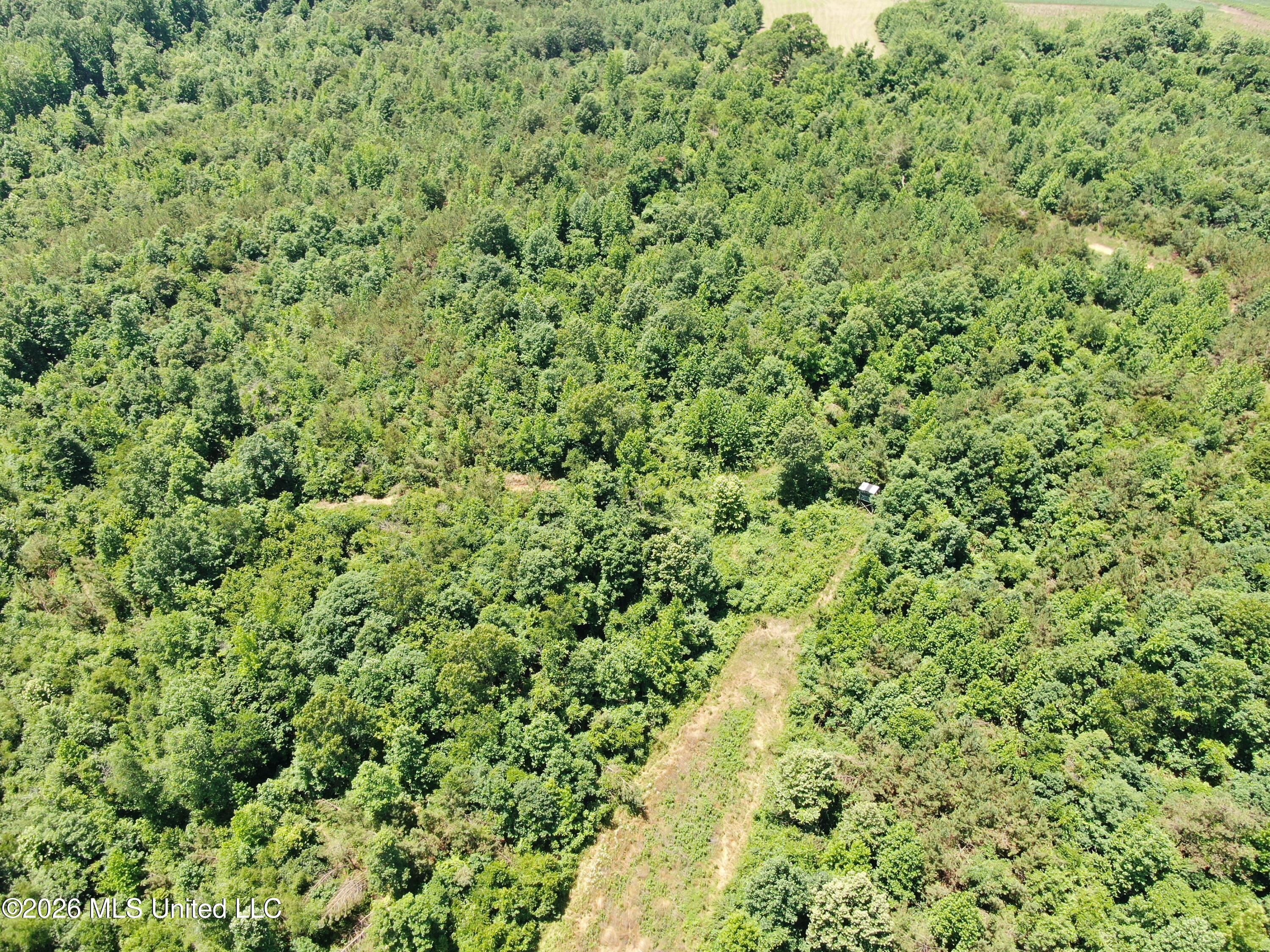 0 Scruggs Road Holly Springs, MS 38635 - Photo 9 of 25 DJI_0036