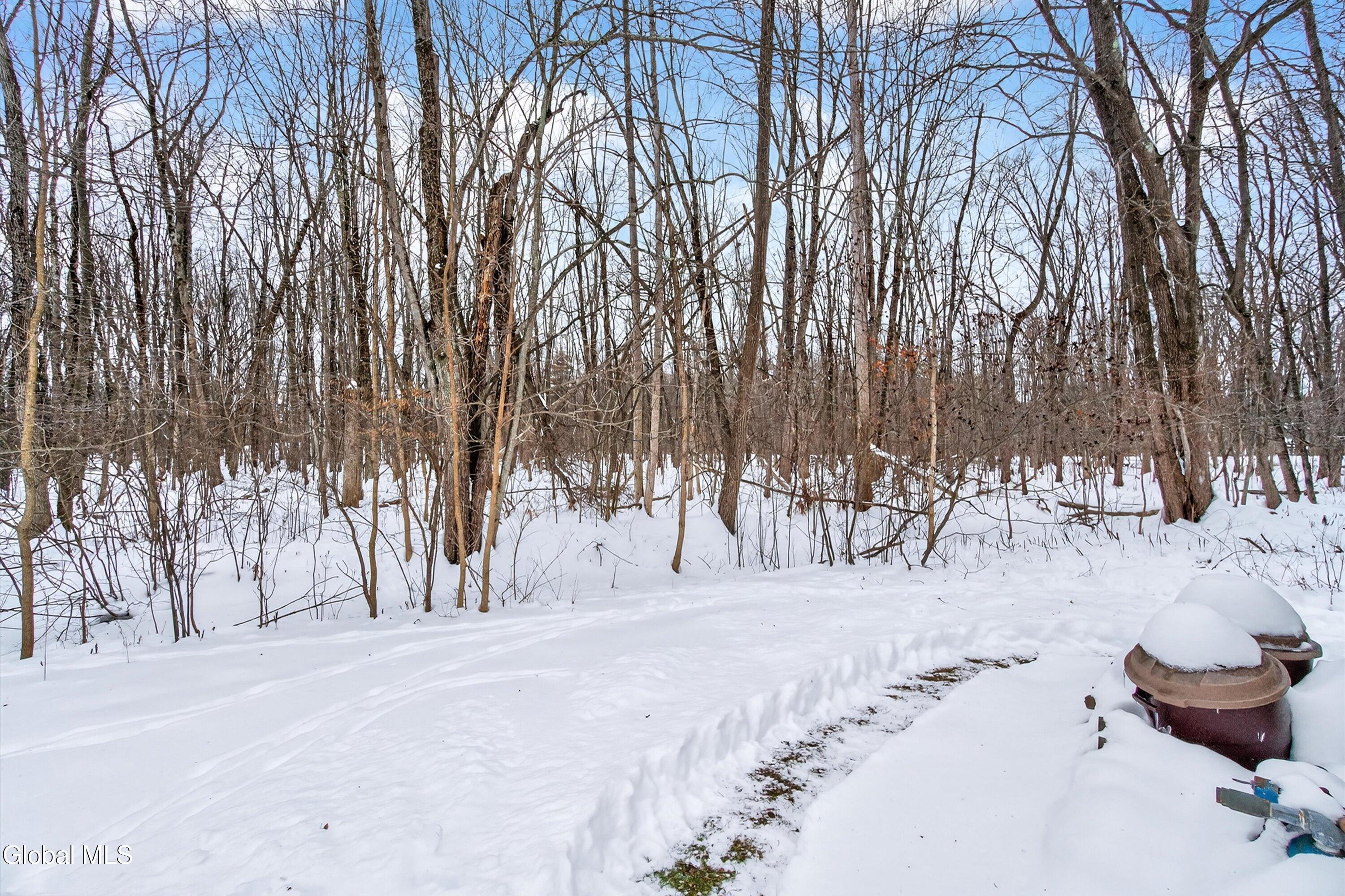 971 Kings Road Colonie, NY 12303 - Photo 38 of 45 48-971 Kings Rd-48