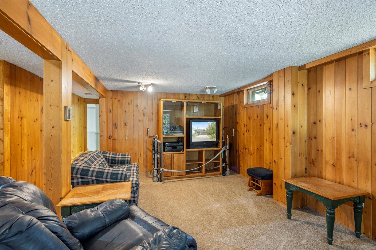 236 East Ahola Road Ely, MN 55731 - Photo 10 of 27 Carpeted living room featuring a textured ceiling and wood walls