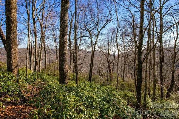 a view of a yard with trees