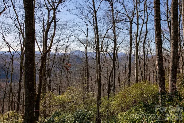 $19,900 | Tbd Oak Rdg Road West, Unit 17, Rosman, NC 28772