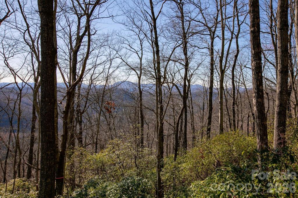 Tbd Oak Rdg Road West, Unit 17 Rosman, NC 28772 - Photo 2 of 10 a backyard of a house with lots of green space