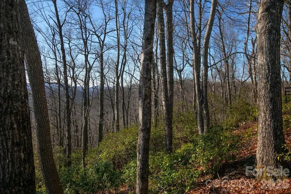 $19,900 | Tbd Oak Rdg Road West, Unit 17, Rosman, NC 28772
