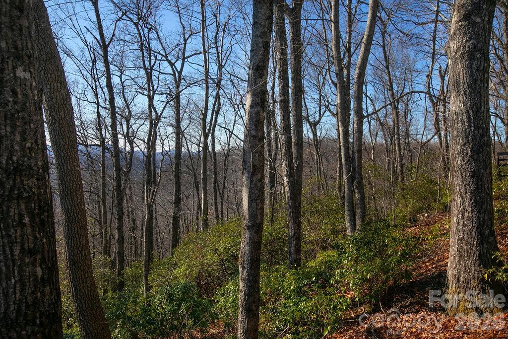 Tbd Oak Rdg Road West, Unit 17 Rosman, NC 28772 - Photo 4 of 10 a view of outdoor space and garden