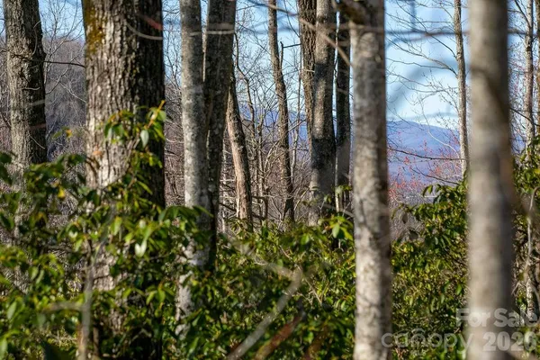 $19,900 | Tbd Oak Rdg Road West, Unit 17, Rosman, NC 28772