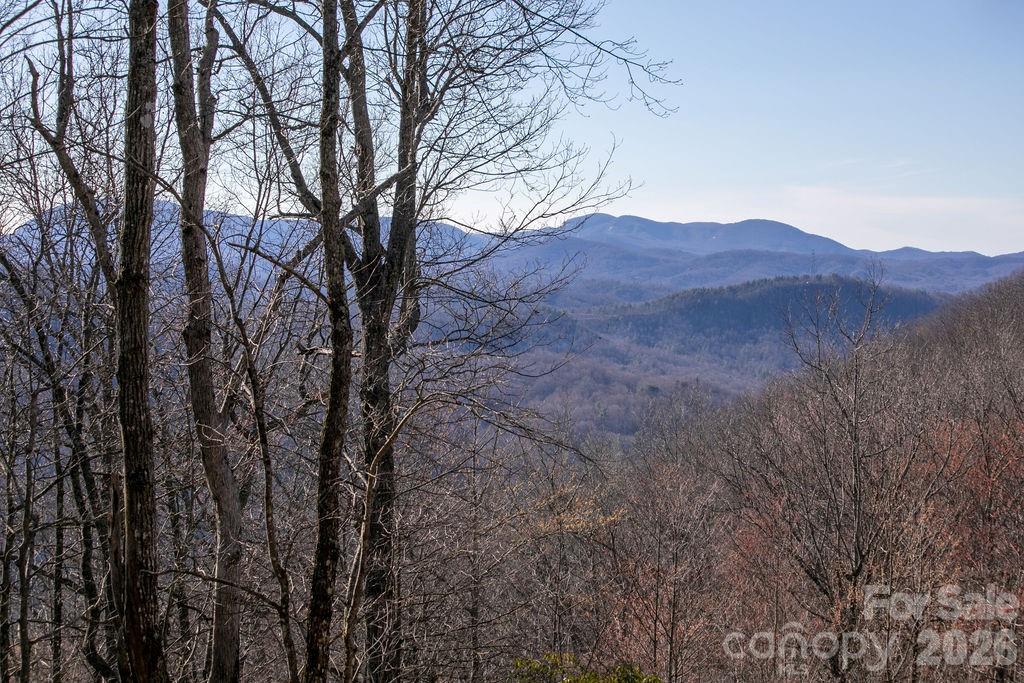 Tbd Oak Rdg Road West, Unit 17 Rosman, NC 28772 - Photo 10 of 10 a view of mountain