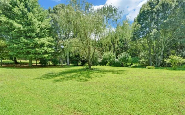 a view of a backyard