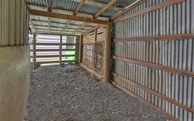 a picture of flowers