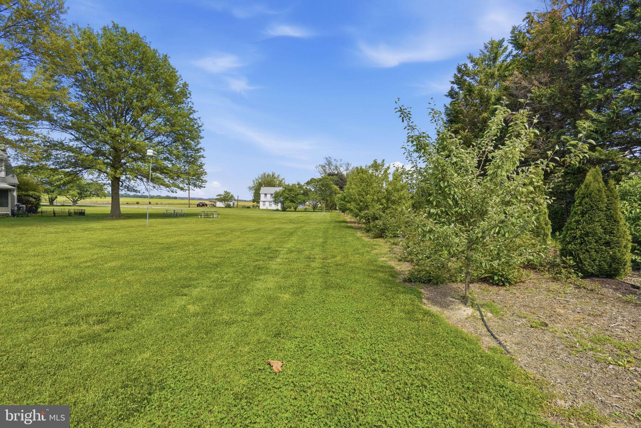 12089 Blacks Station Road Kennedyville, MD 21645 - Photo 20 of 39 Tree line of property