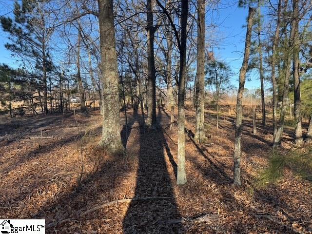 Dewberry Road Spartanburg, SC 29307 - Photo 11 of 19