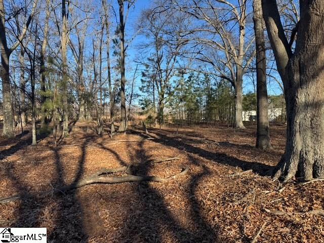 Dewberry Road Spartanburg, SC 29307 - Photo 12 of 19