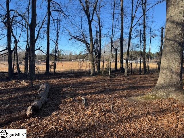 Dewberry Road Spartanburg, SC 29307 - Photo 13 of 19