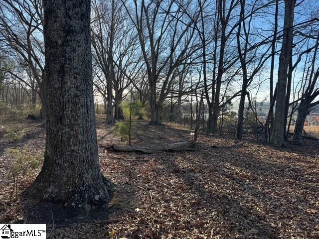 Dewberry Road Spartanburg, SC 29307 - Photo 14 of 19