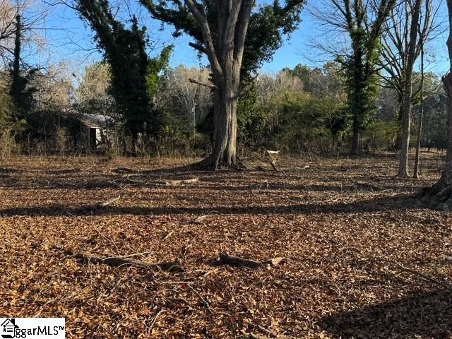Dewberry Road Spartanburg, SC 29307 - Photo 2 of 19