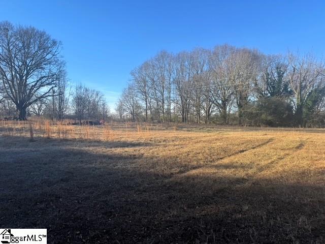 Dewberry Road Spartanburg, SC 29307 - Photo 5 of 19
