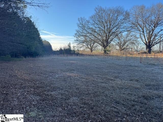 Dewberry Road Spartanburg, SC 29307 - Photo 6 of 19