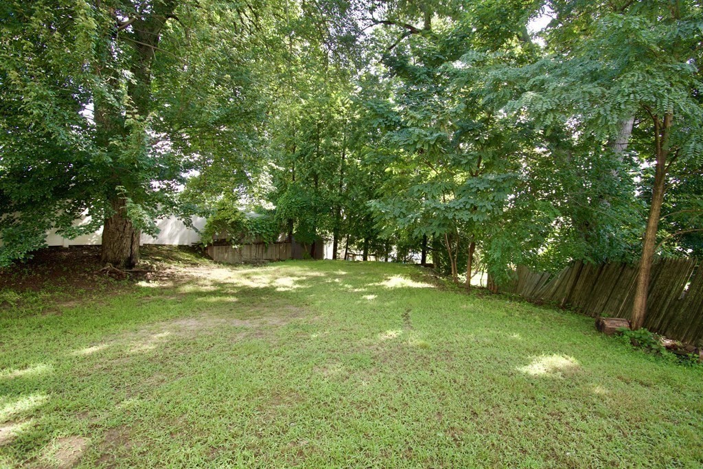 19 Ambrose Street Springfield, MA 01109 - Photo 32 of 32 a view of a trees in a yard