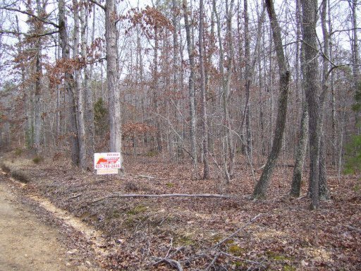 Elder Hollow Road Decatur, TN 37322 - Photo 1 of 1 Primary Photo