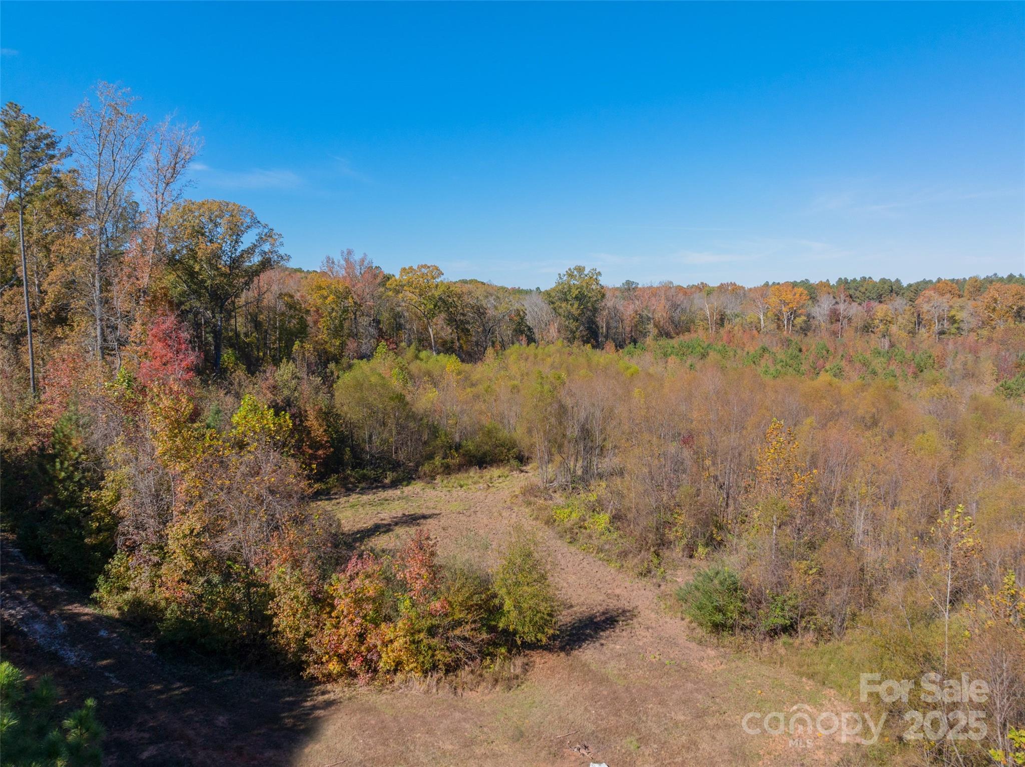 0 Hopewell Church Road, Unit 1 Blackstock, SC 29014 - Photo 11 of 46 Gallery Image 11