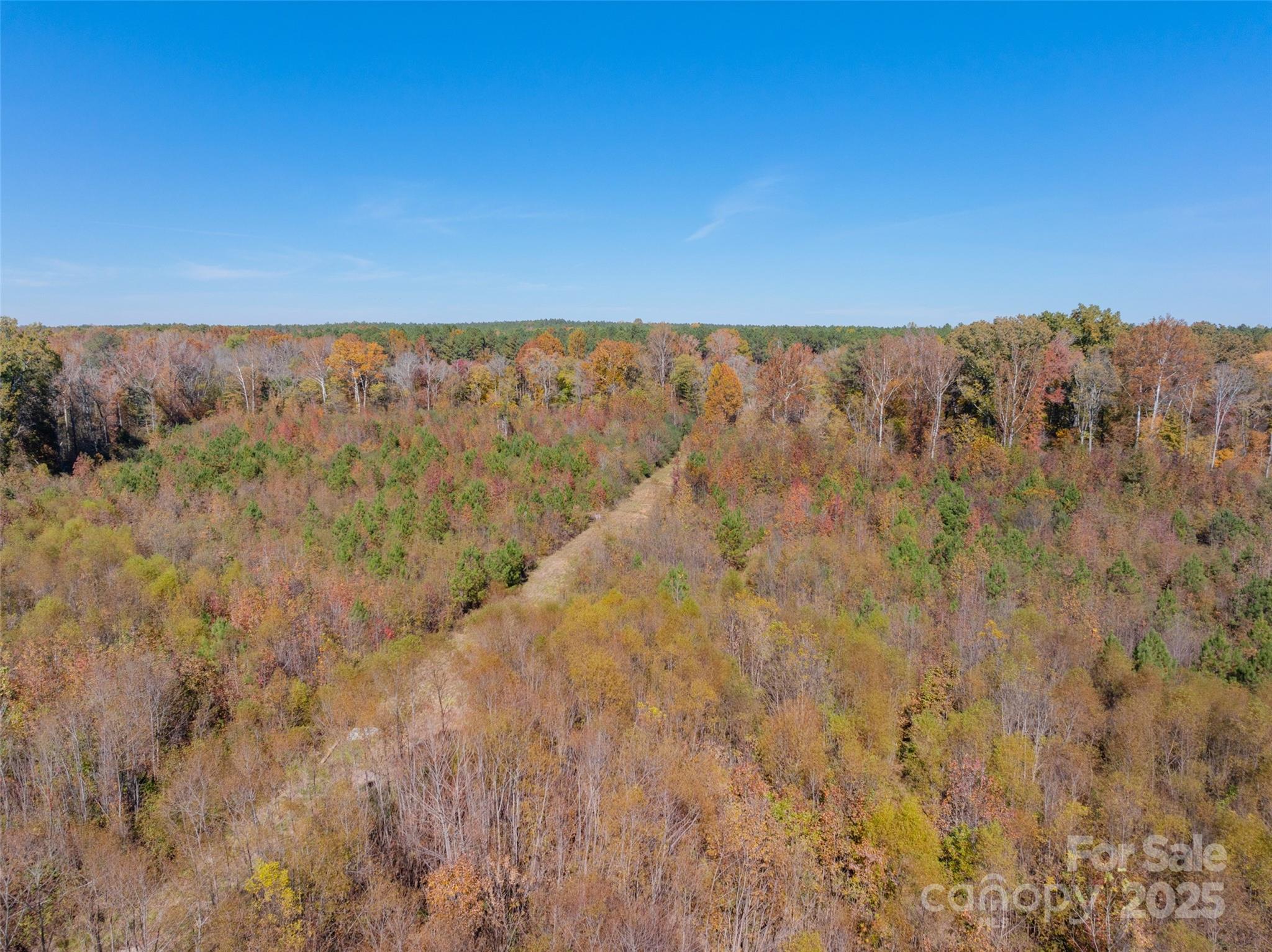 0 Hopewell Church Road, Unit 1 Blackstock, SC 29014 - Photo 12 of 46 Gallery Image 12